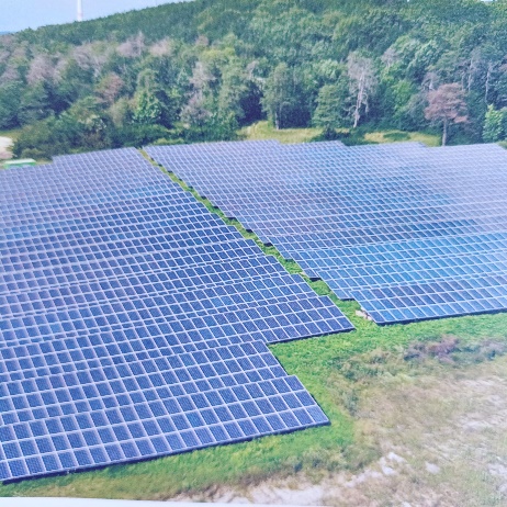 Freiflächen Photovoltaik am Waldrand